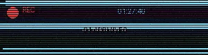 91档案 - 仙踪林网站入口欢迎您老狼 原创影像平台